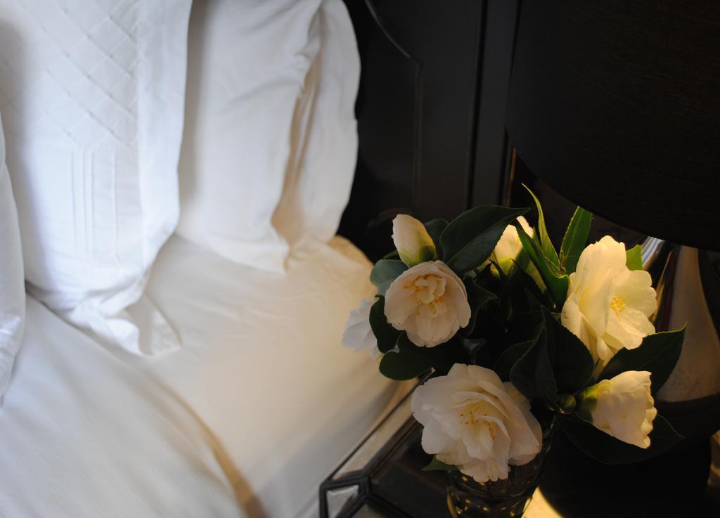 Willa Bed Of Roses Apollo Bay Zewnętrze zdjęcie